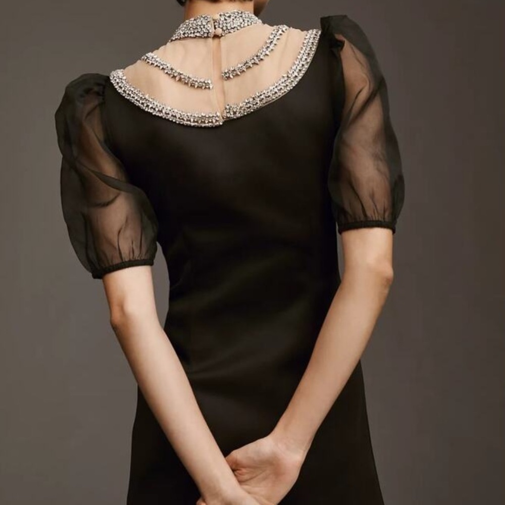 Anthropologie Pinnacle by SSS Embellished Yoke Mini Dress - Picture 4 of 16